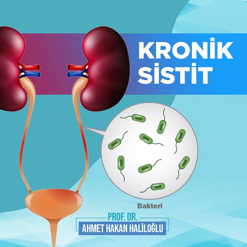 Bitkisel Desteklerle İltihap Azaltma Yöntemleri