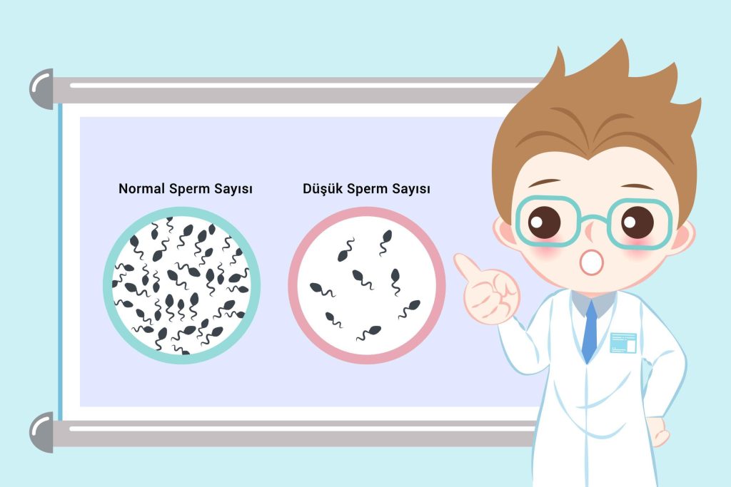 Sperm Sayısı Düşüklüğü Tedavisi: Doğal Yollarla Çözüm