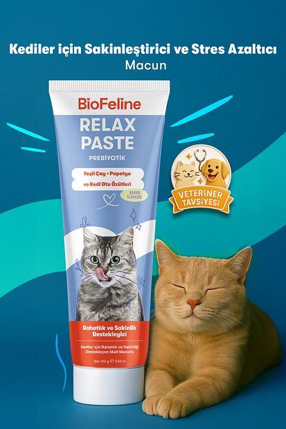 Kedi Otu: Sakinleştirici Kedi Otu: Uykusuzluk ve Anksiyeteye Karşı Doğal Rahatlatıcı