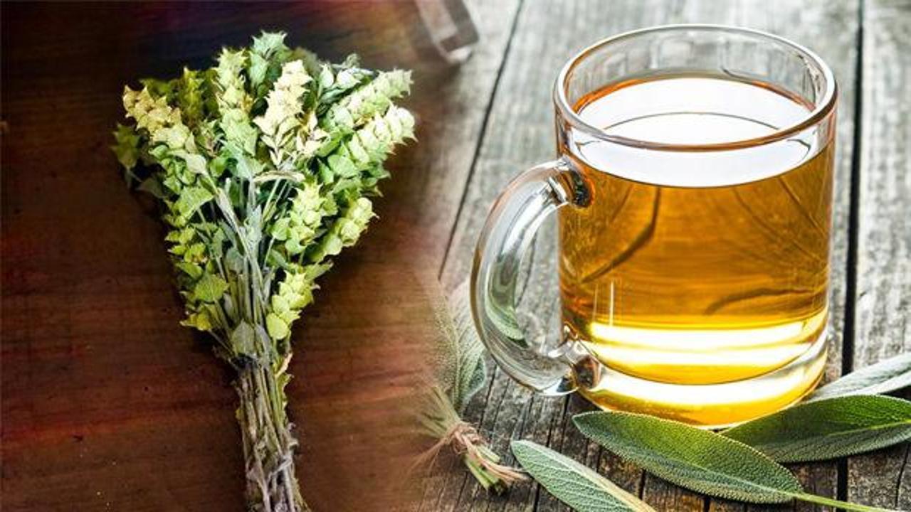 Adaçayı Nasıl Hazırlanır ve Günlük Kullanım Önerileri