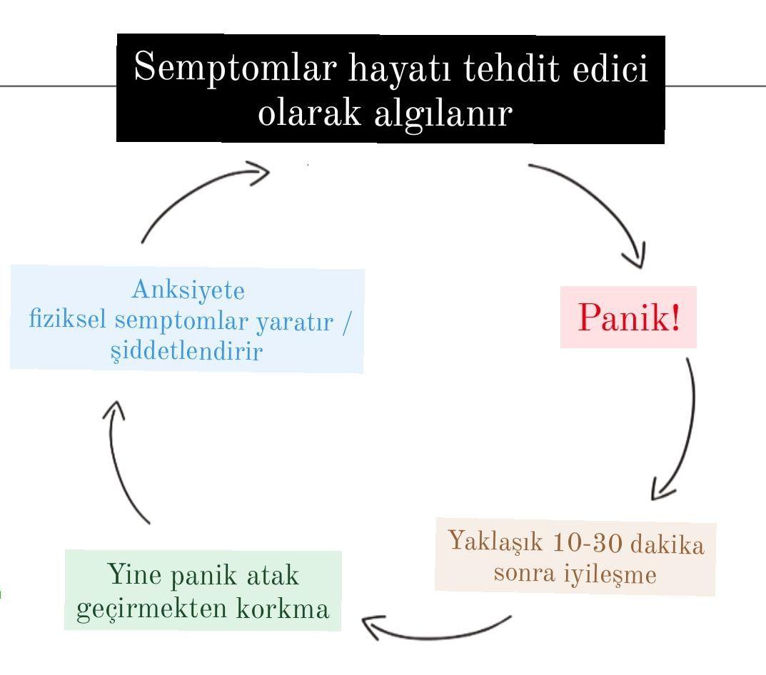 Panik Atak Anlarında Sakin Kalmanın Doğal Yolları