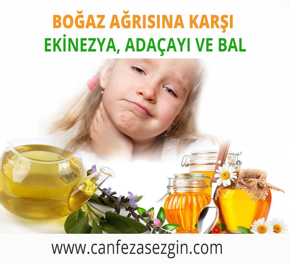 Adaçayının Boğaz Ağrısına Etkileri ve Kullanım Yöntemleri
