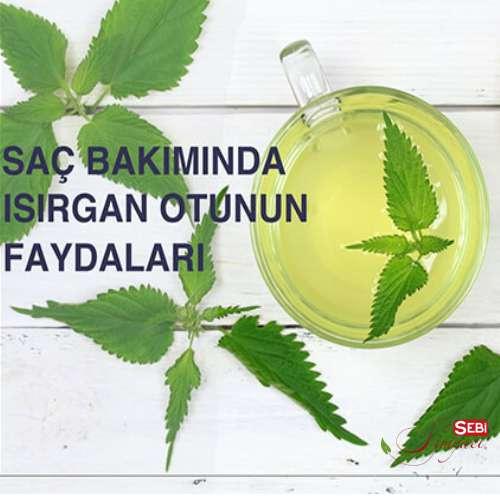 Saç Dökülmesine Karşı Isırgan Otu Kullanımı