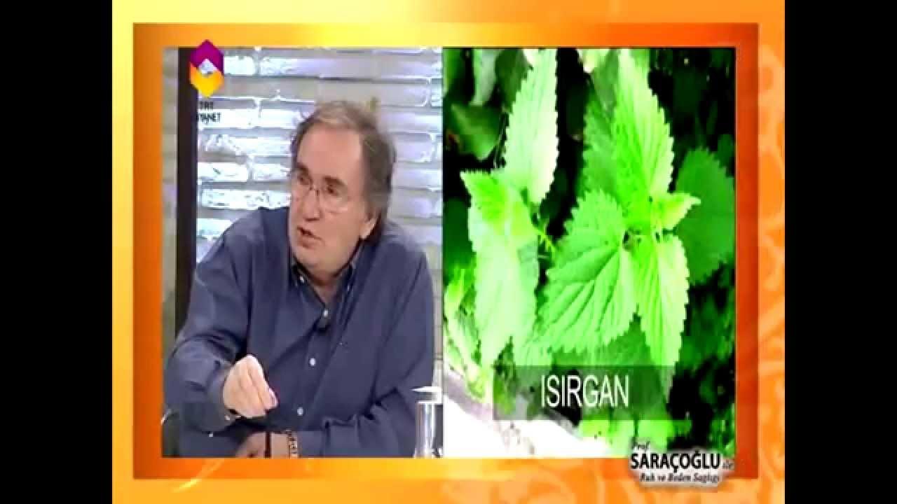 En Etkili Doğal Bitkiler ve Kullanım Önerileri