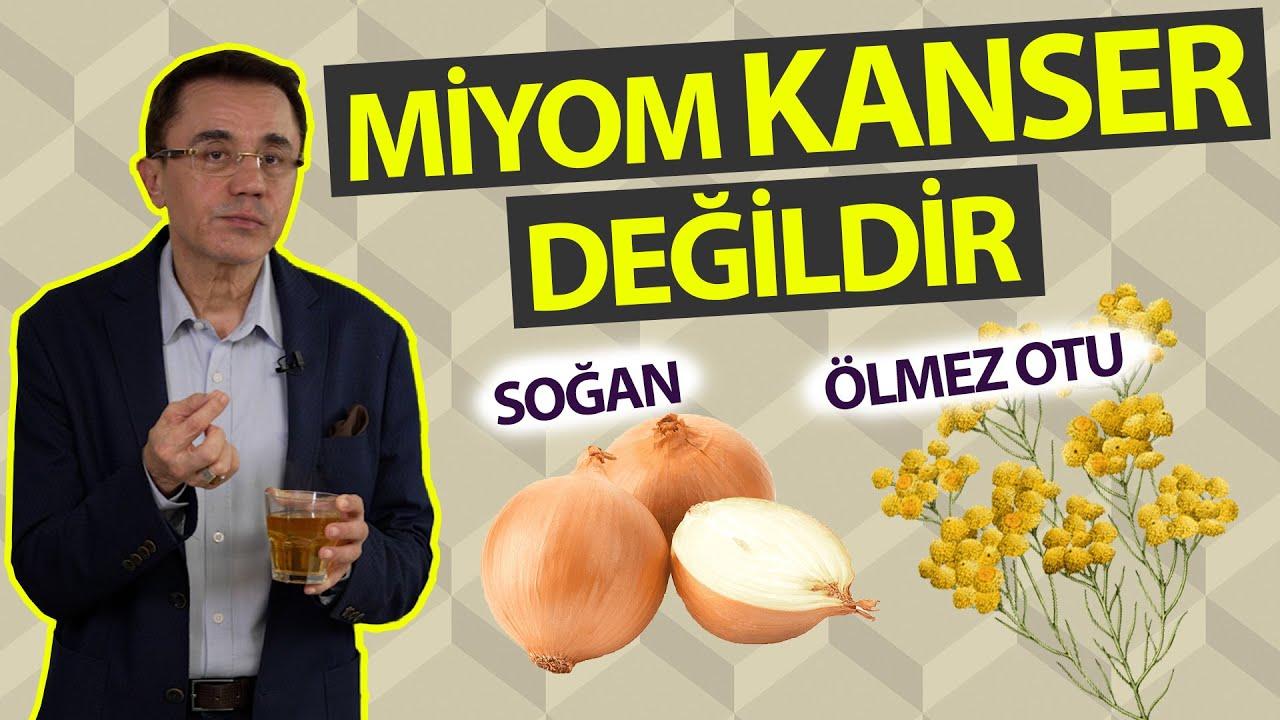 Miyom Nedir ve Bitkisel Tedavi Yöntemleri Nasıl Etki Eder
