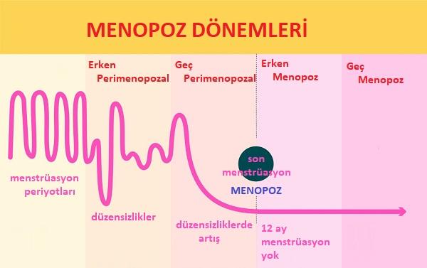 Hormonal Eksikliklere Doğal Çözüm: Dengenizi Bulun
