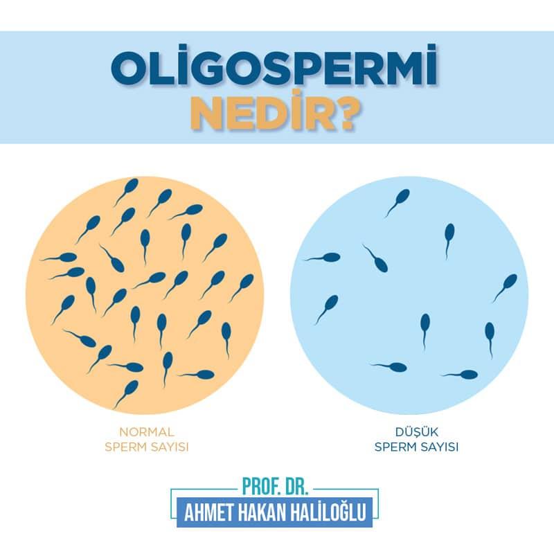 Bitkisel Tedavilerin Sperm Morfolojisi Üzerindeki Etkileri
